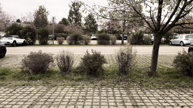Zentralparkplatz am Inn-Stadt-Park